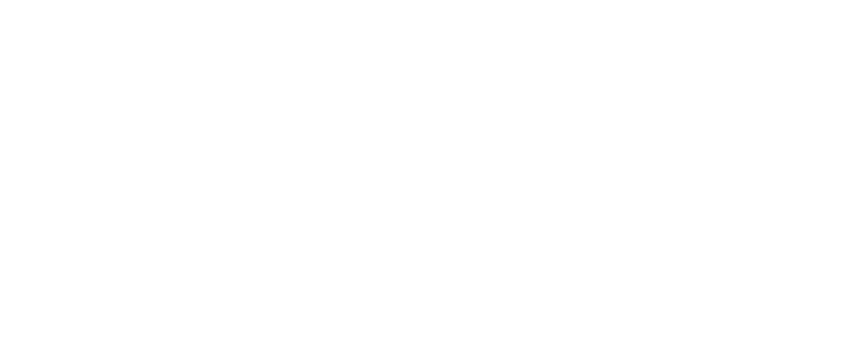 Logo FDDZ